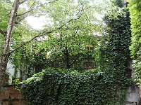 Errance dans la ville.